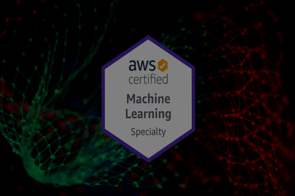 AWS-Certified-Machine-Learning-Specialty Reliable Test Voucher